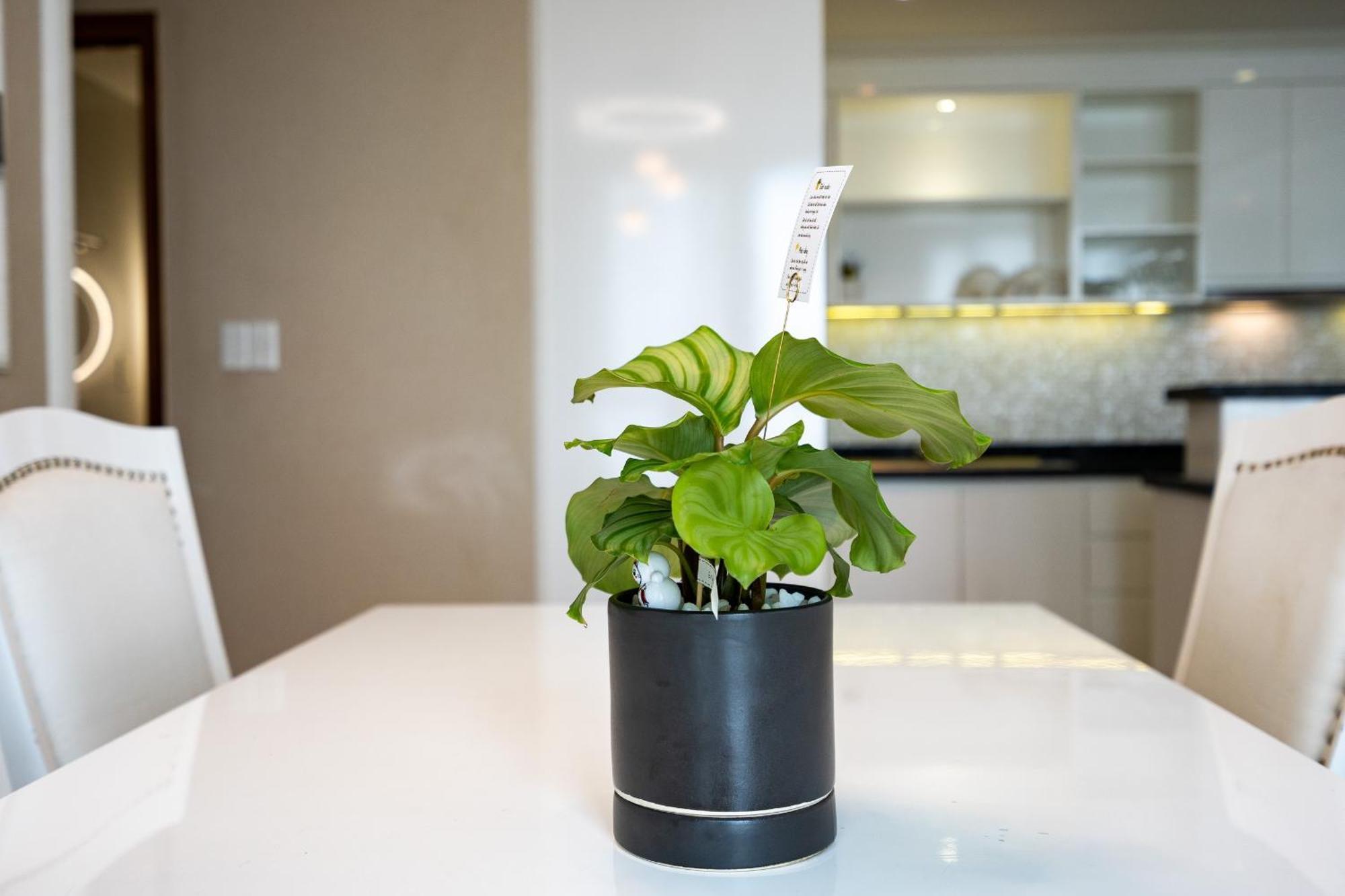 Leman Luxury Apartment By M Suites Πόλη Χο Τσι Μινχ Εξωτερικό φωτογραφία